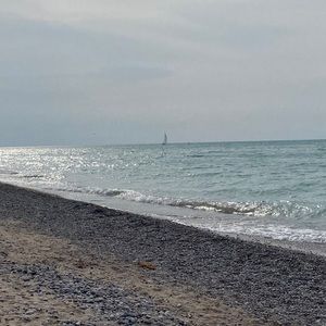 Meet your Posher, Maggie